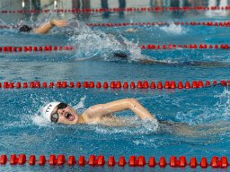 natation 8-min